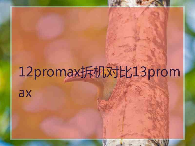 12promax拆机对比13promax