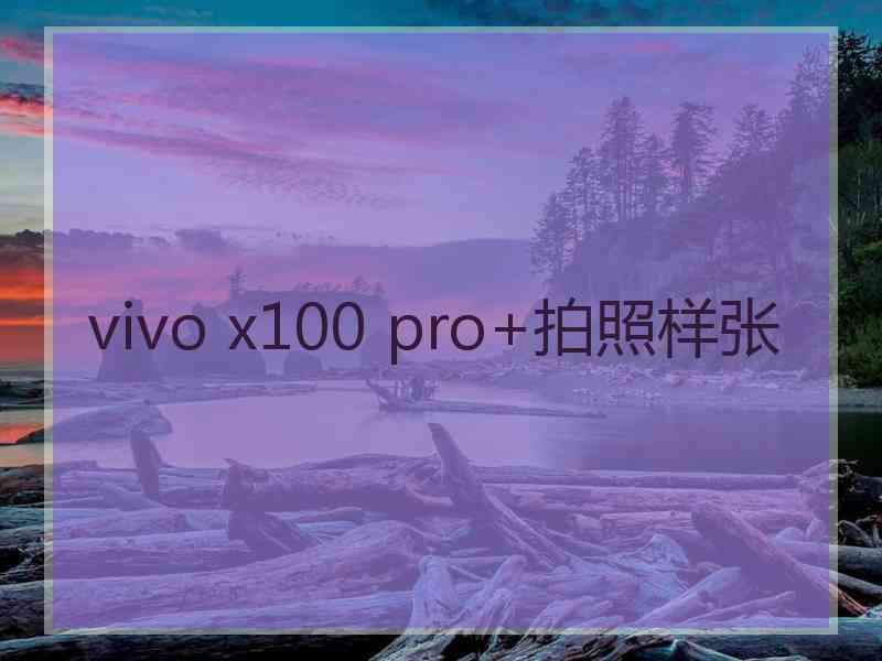 vivo x100 pro+拍照样张