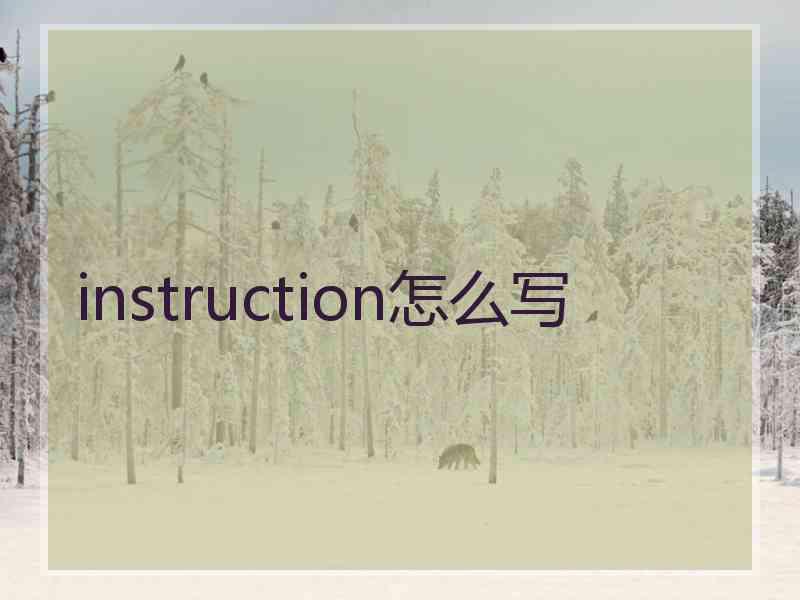 instruction怎么写