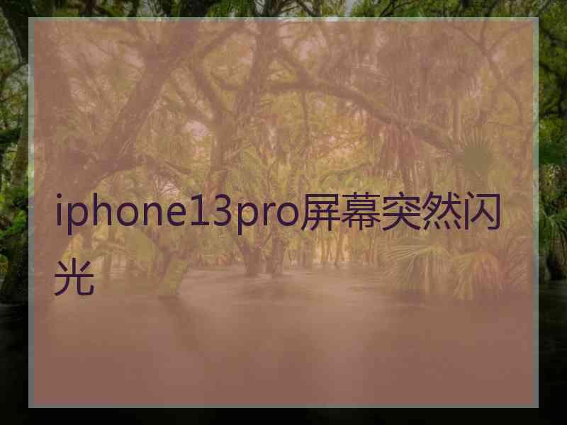 iphone13pro屏幕突然闪光