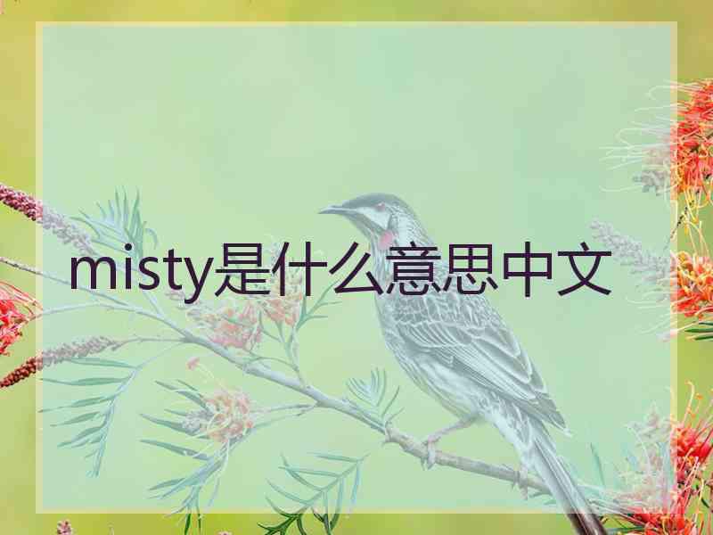 misty是什么意思中文