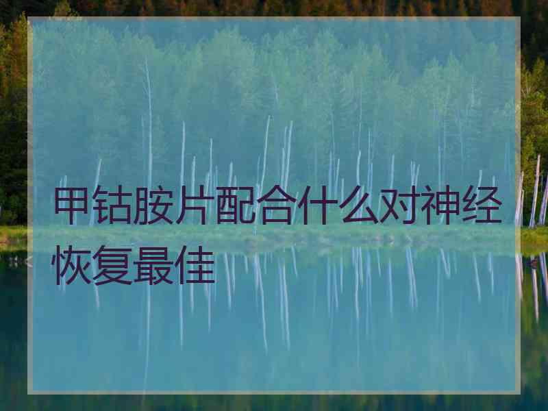 甲钴胺片配合什么对神经恢复最佳