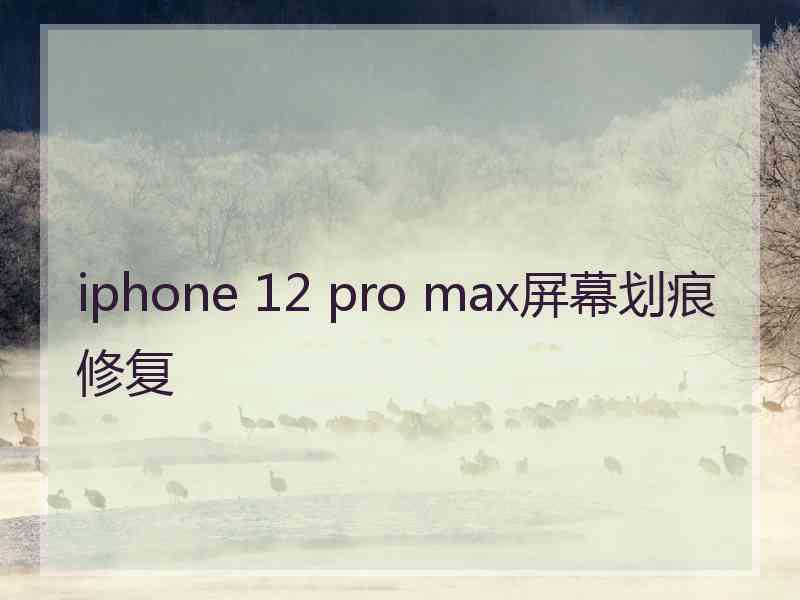 iphone 12 pro max屏幕划痕修复