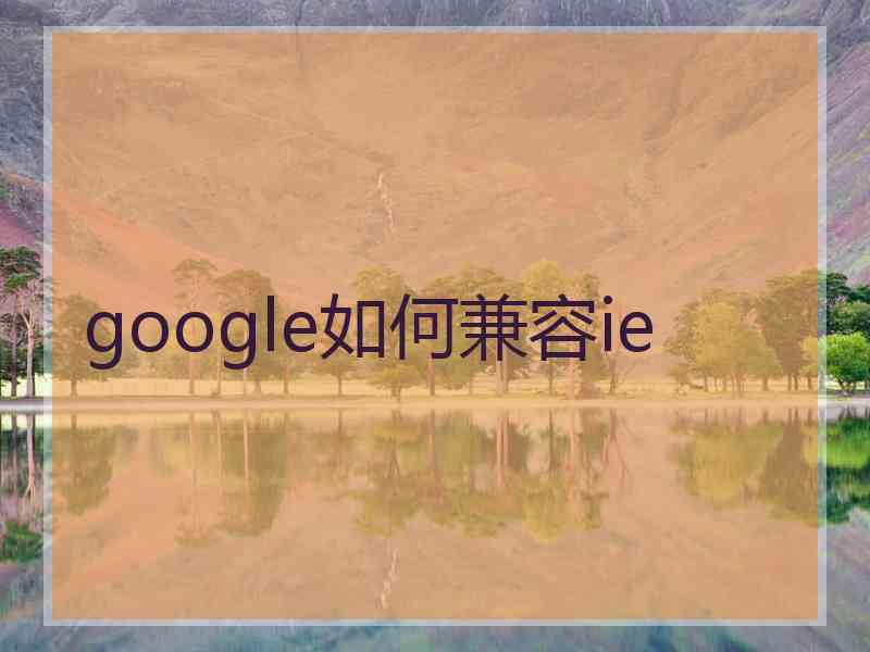 google如何兼容ie