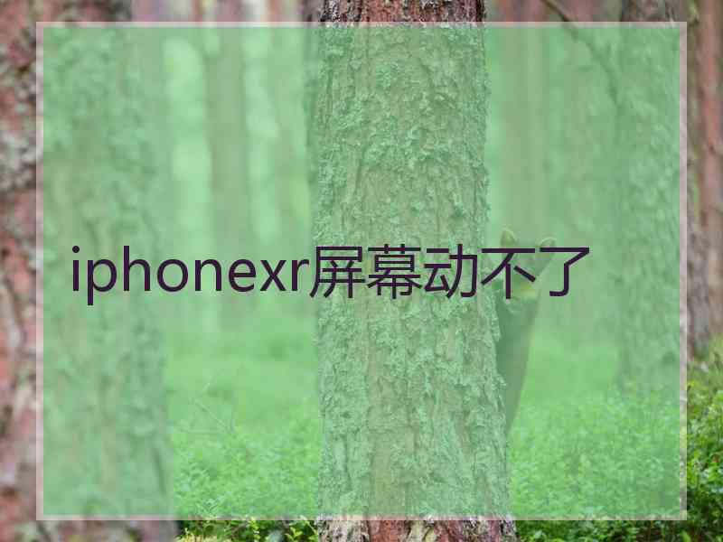 iphonexr屏幕动不了