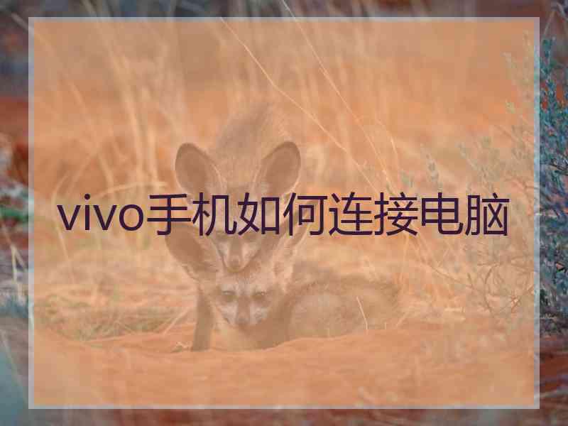 vivo手机如何连接电脑