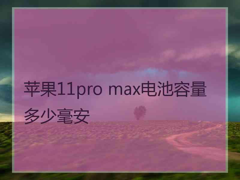 苹果11pro max电池容量多少毫安