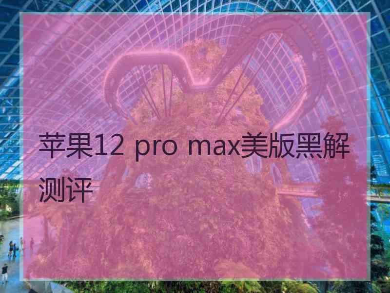 苹果12 pro max美版黑解测评