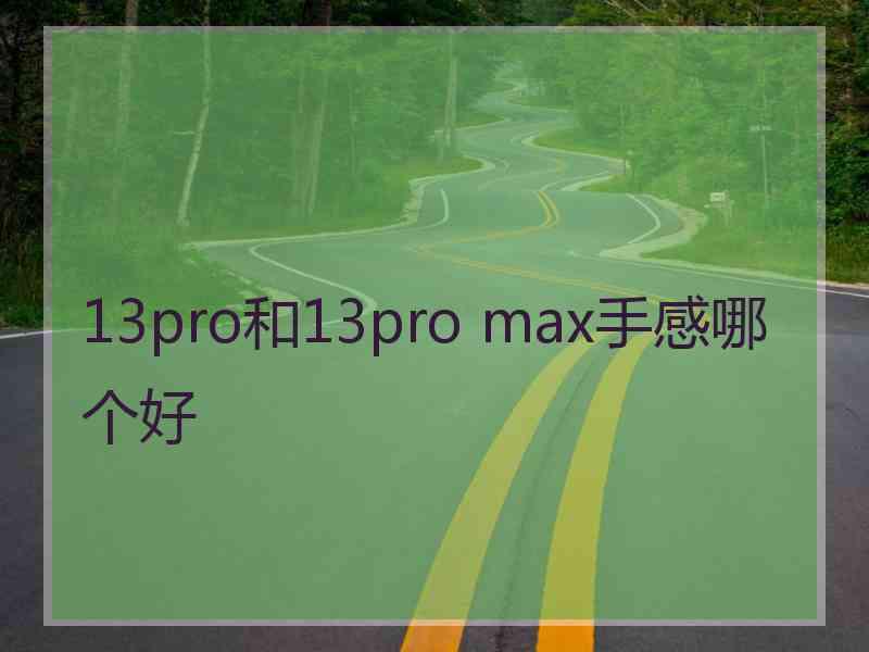 13pro和13pro max手感哪个好