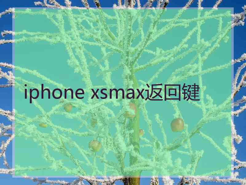 iphone xsmax返回键