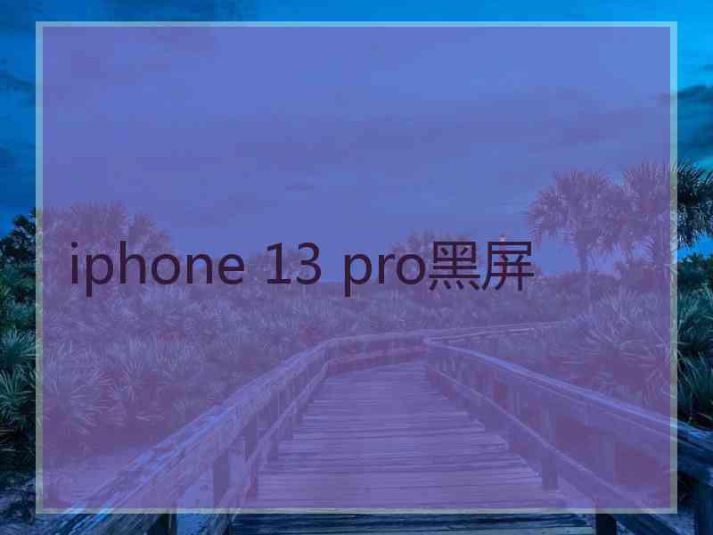 iphone 13 pro黑屏