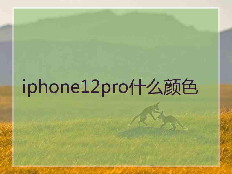 iphone12pro什么颜色