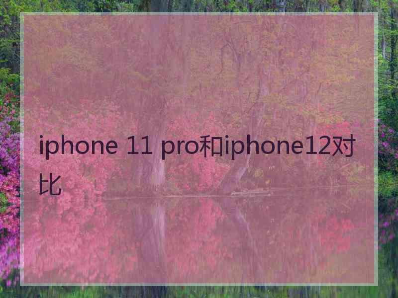 iphone 11 pro和iphone12对比