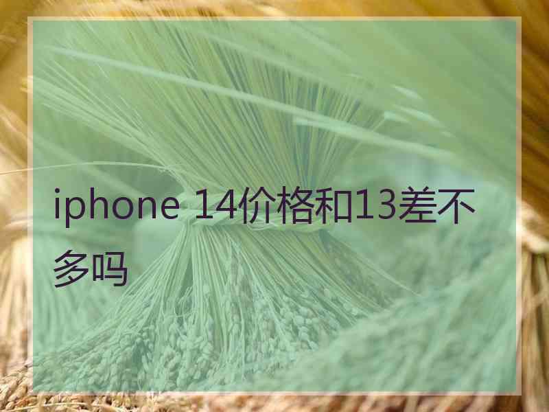 iphone 14价格和13差不多吗