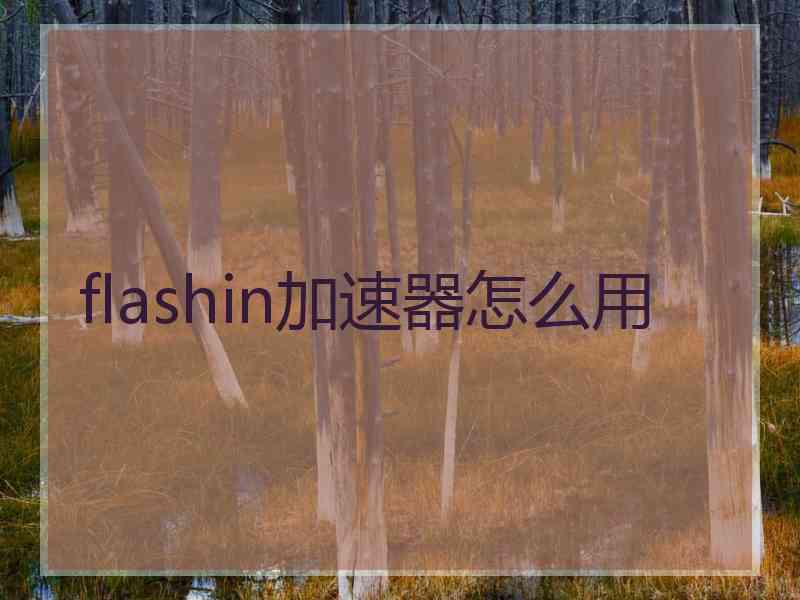 flashin加速器怎么用