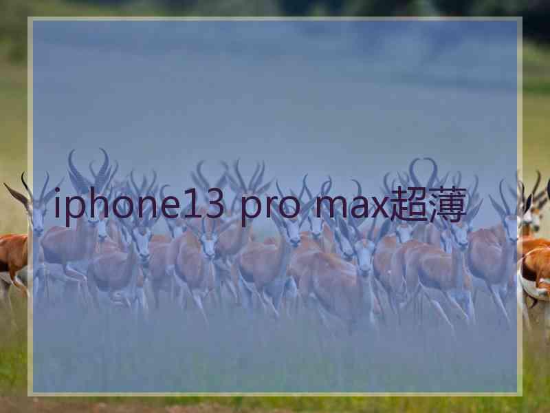 iphone13 pro max超薄