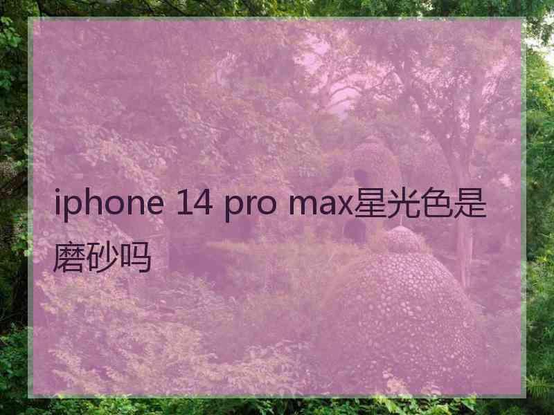 iphone 14 pro max星光色是磨砂吗