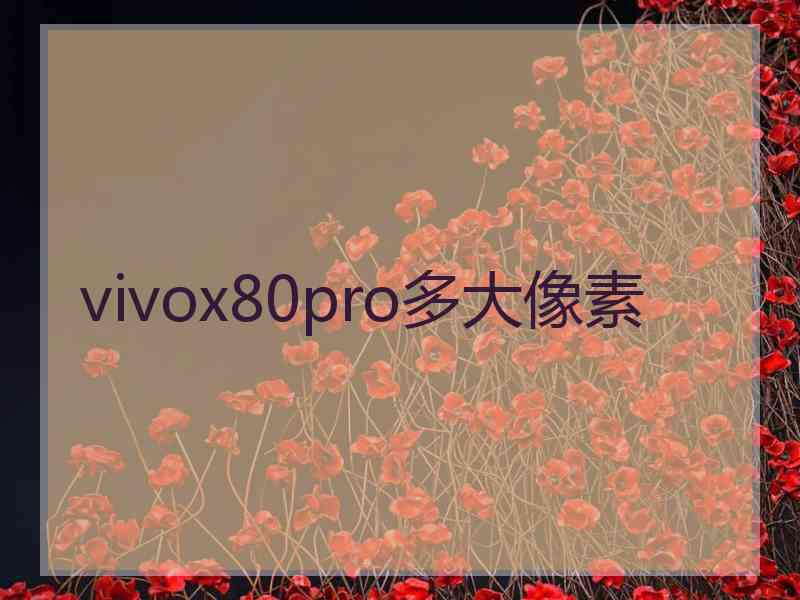 vivox80pro多大像素