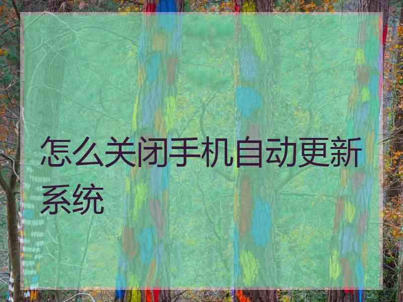 怎么关闭手机自动更新系统