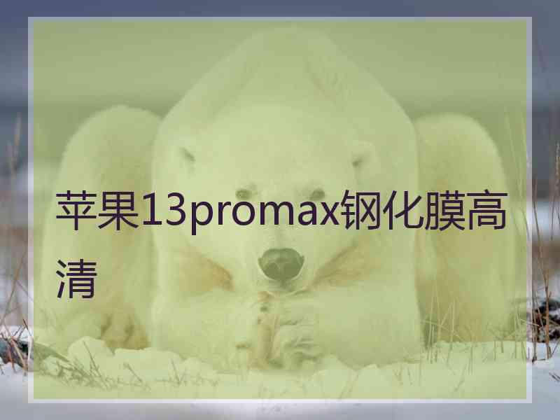 苹果13promax钢化膜高清