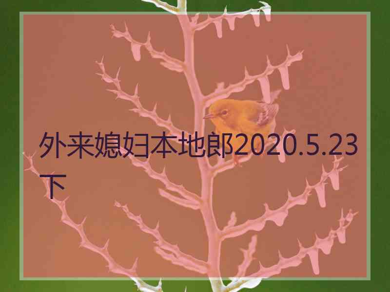 外来媳妇本地郎2020.5.23下