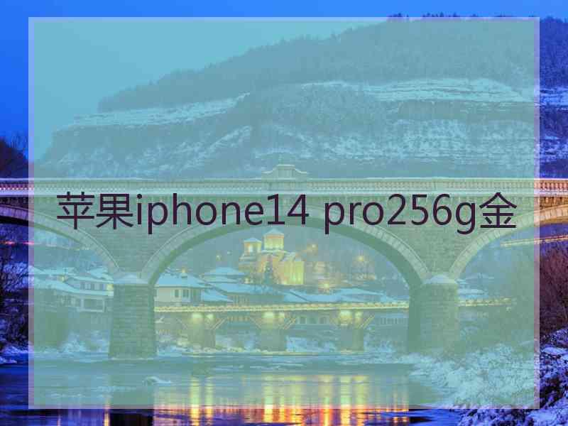 苹果iphone14 pro256g金