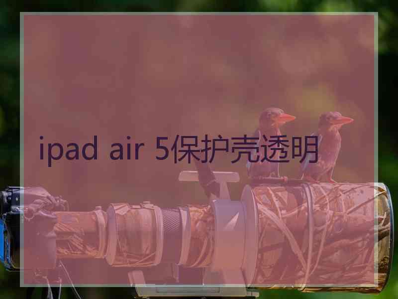 ipad air 5保护壳透明