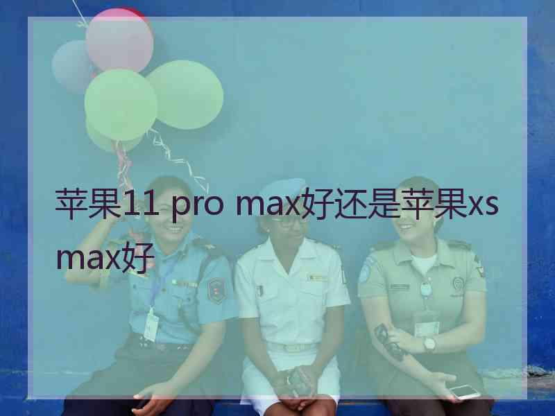 苹果11 pro max好还是苹果xs max好