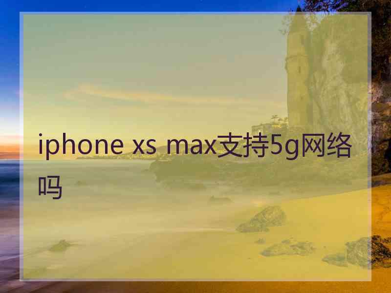 iphone xs max支持5g网络吗