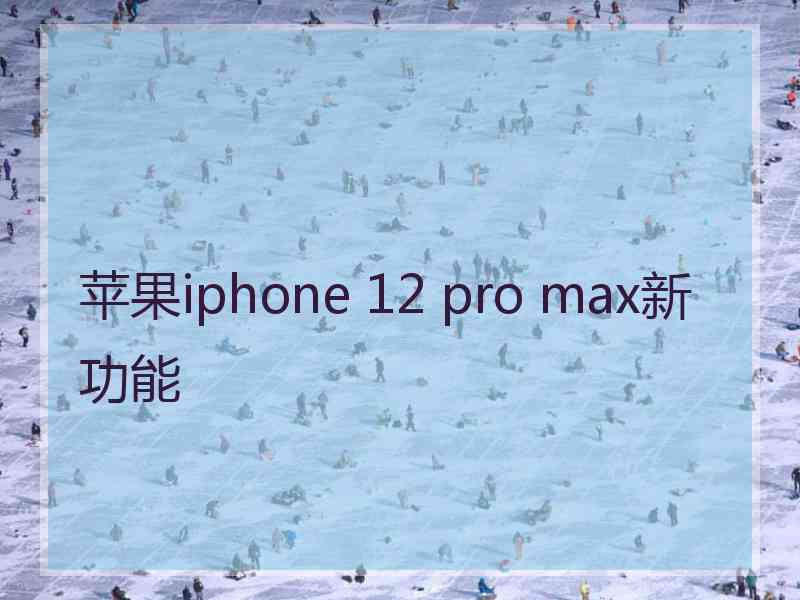 苹果iphone 12 pro max新功能