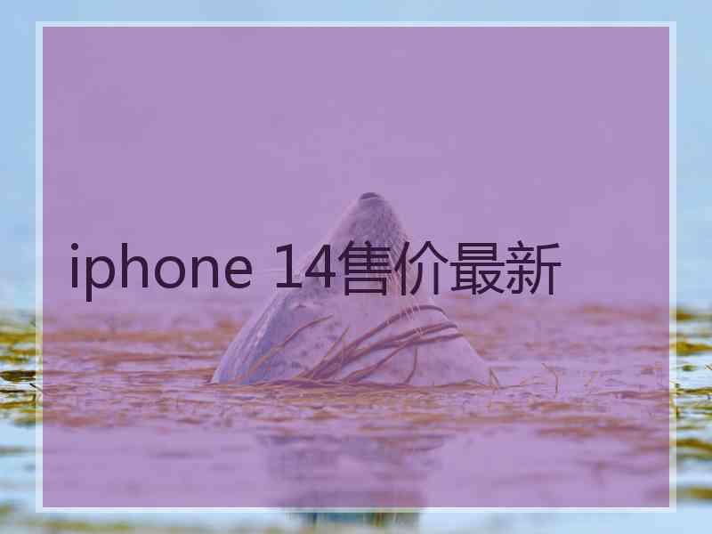 iphone 14售价最新