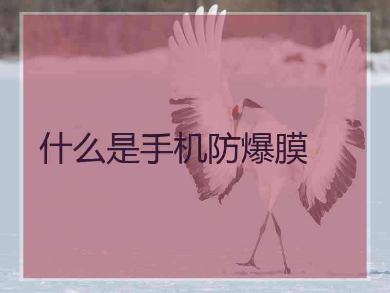 什么是手机防爆膜