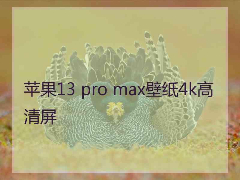 苹果13 pro max壁纸4k高清屏