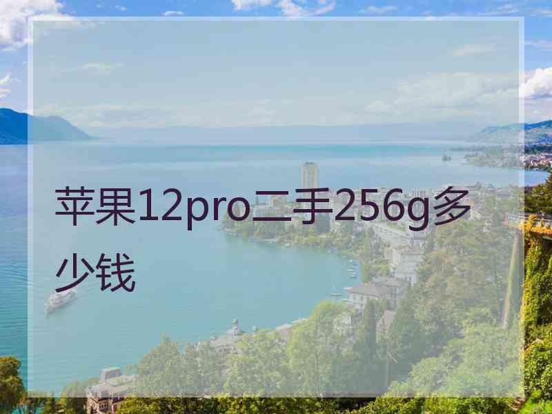 苹果12pro二手256g多少钱