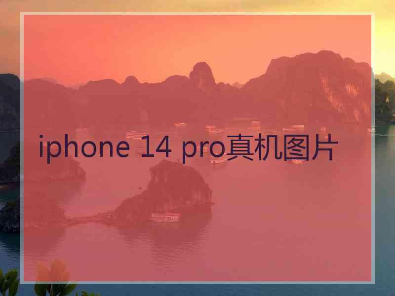 iphone 14 pro真机图片