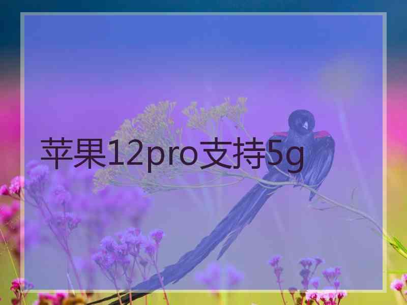 苹果12pro支持5g