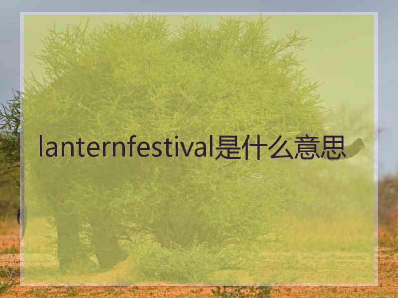 lanternfestival是什么意思