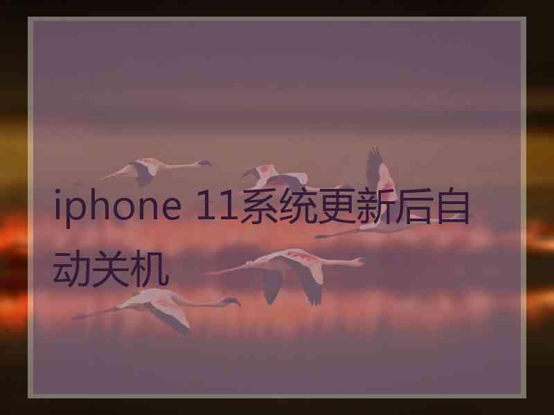 iphone 11系统更新后自动关机