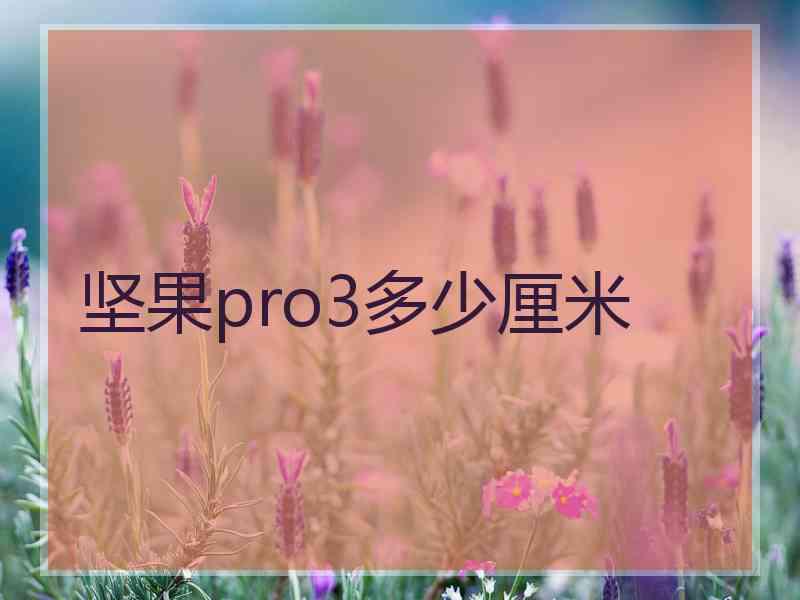 坚果pro3多少厘米