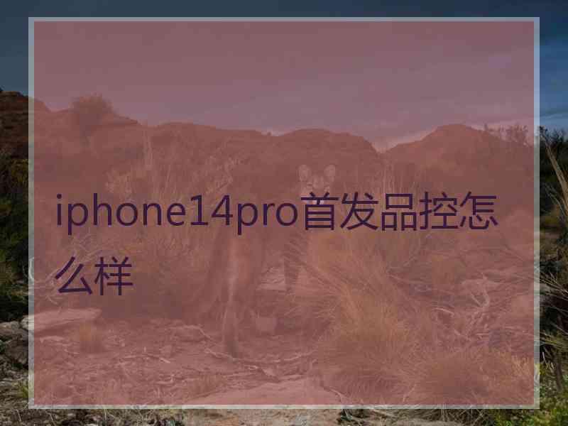 iphone14pro首发品控怎么样