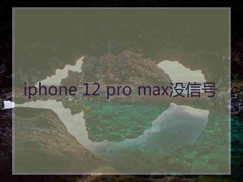 iphone 12 pro max没信号