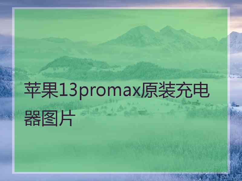 苹果13promax原装充电器图片