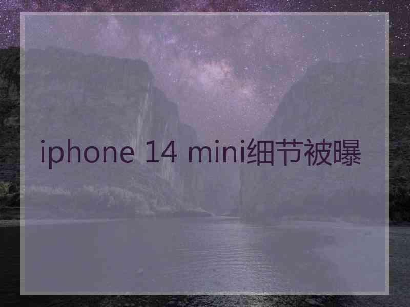 iphone 14 mini细节被曝