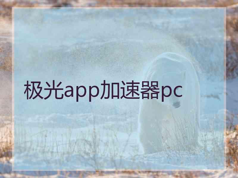 极光app加速器pc