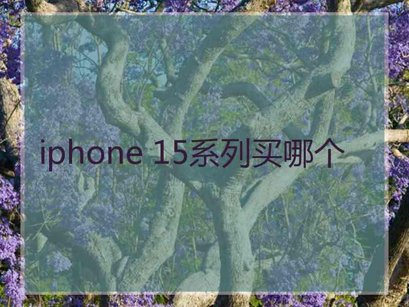 iphone 15系列买哪个