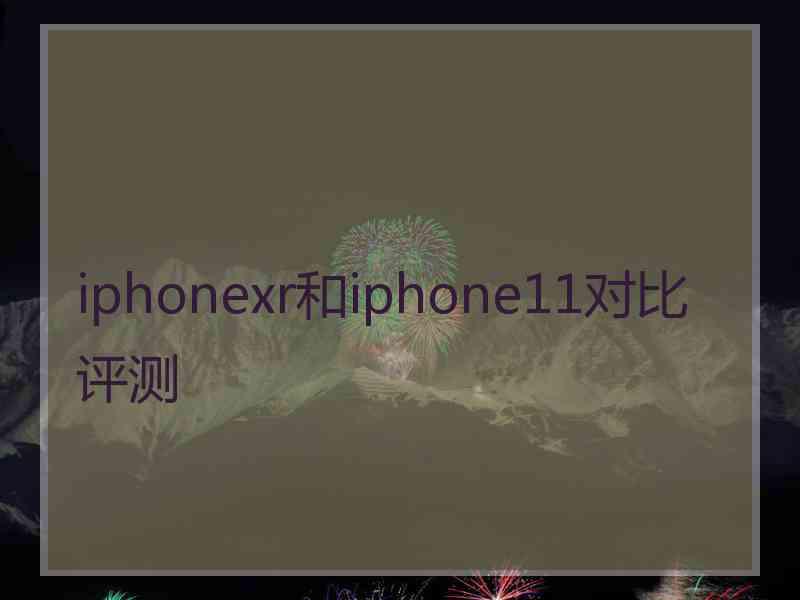 iphonexr和iphone11对比评测