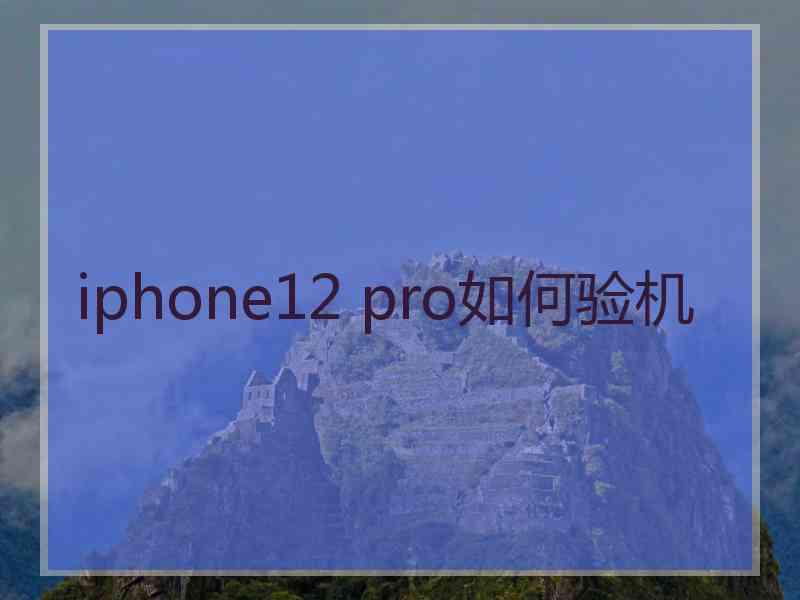 iphone12 pro如何验机