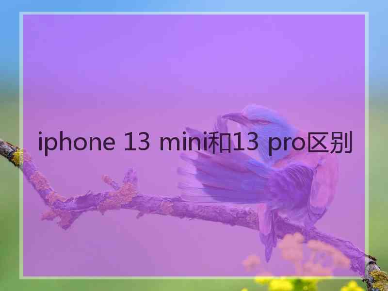 iphone 13 mini和13 pro区别