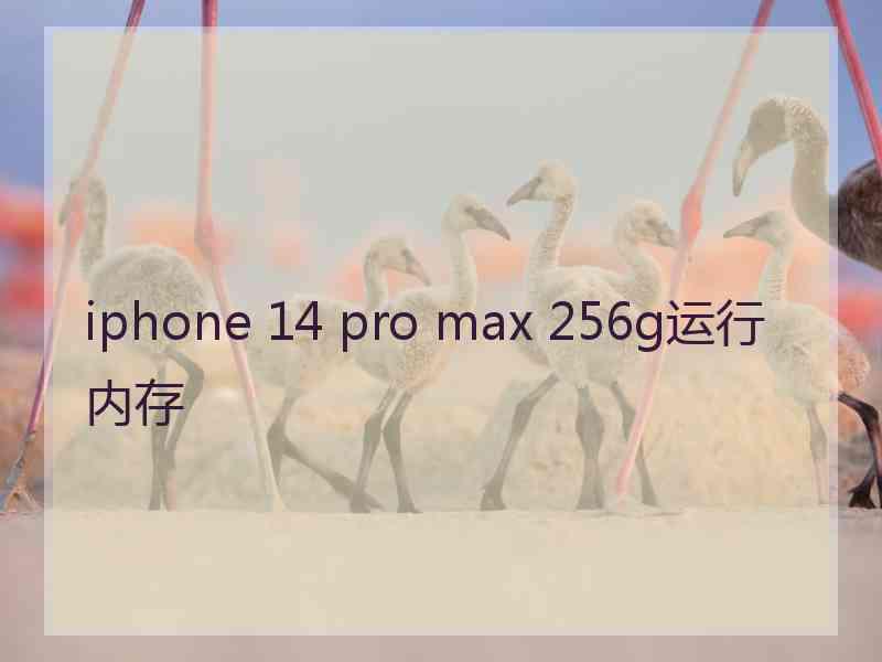 iphone 14 pro max 256g运行内存