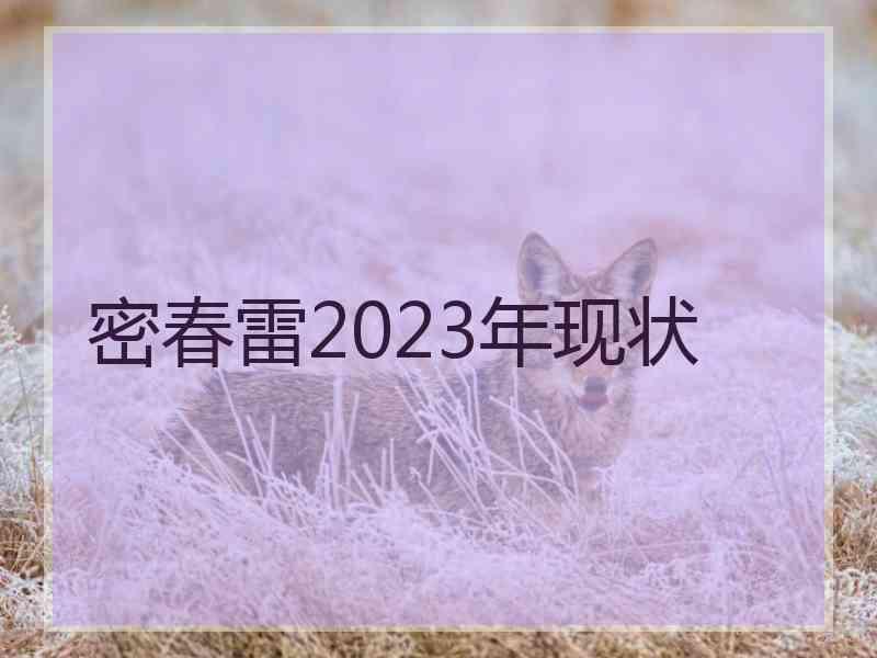 密春雷2023年现状